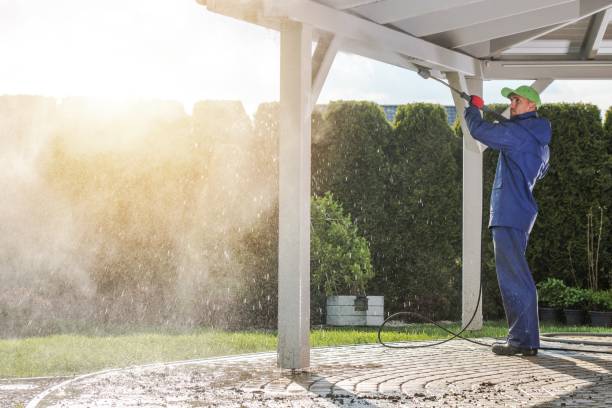 Best Sidewalk and Walkway Cleaning  in Rockwood, MI